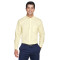 Chemise unie pour homme en oxford Collection CrownMC